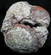 Crystal Filled Dugway Geode #33193-1
